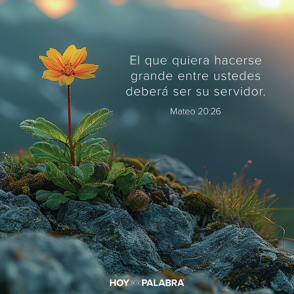 IMÁGENES DEL ÉXITO