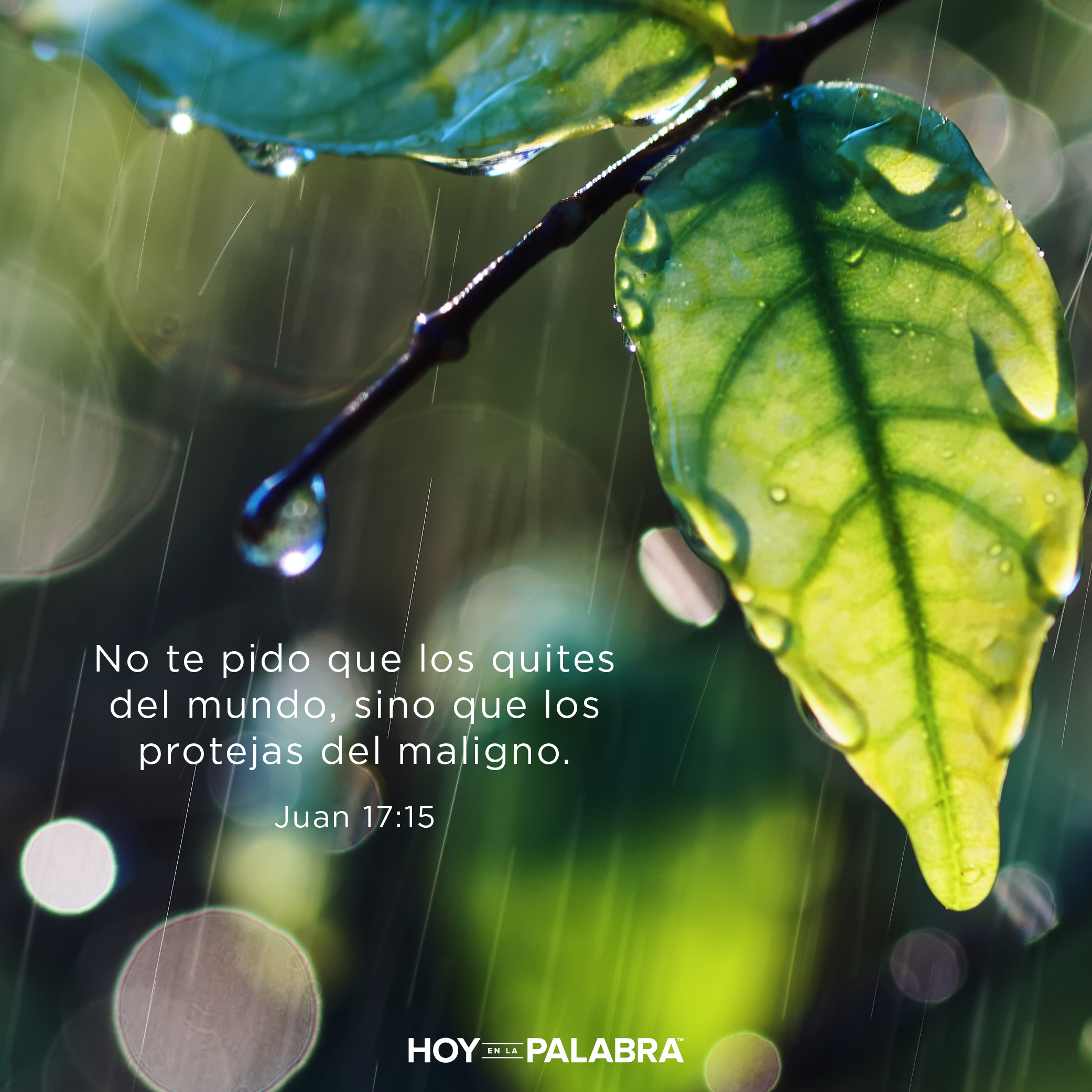 Jesús ora por sus discípulos