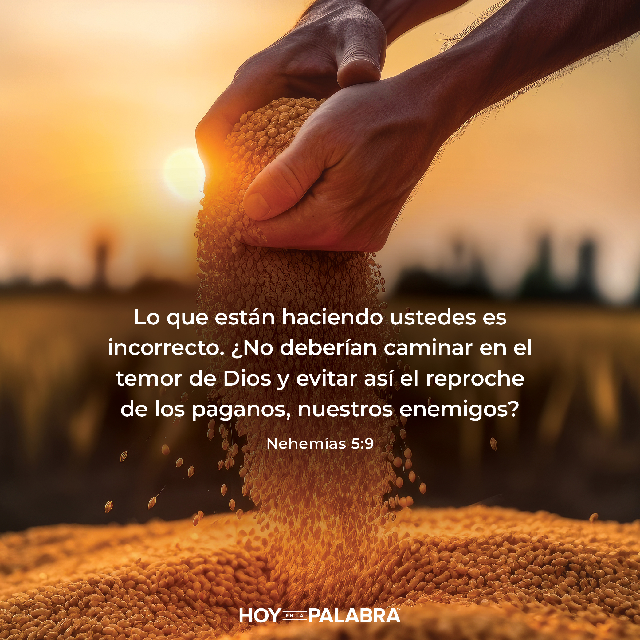 Defender a los débiles