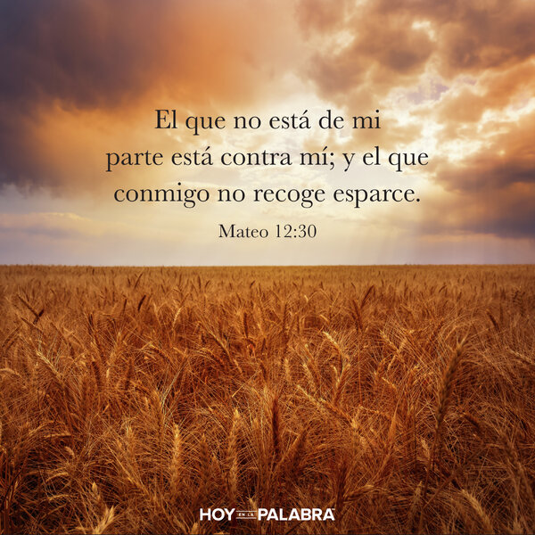 SU PRESENCIA AHUYENTA LA OSCURIDAD