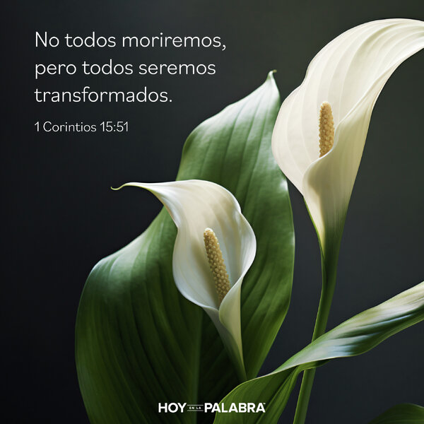 TRANSFORMADOS POR LA RESURRECCIÓN