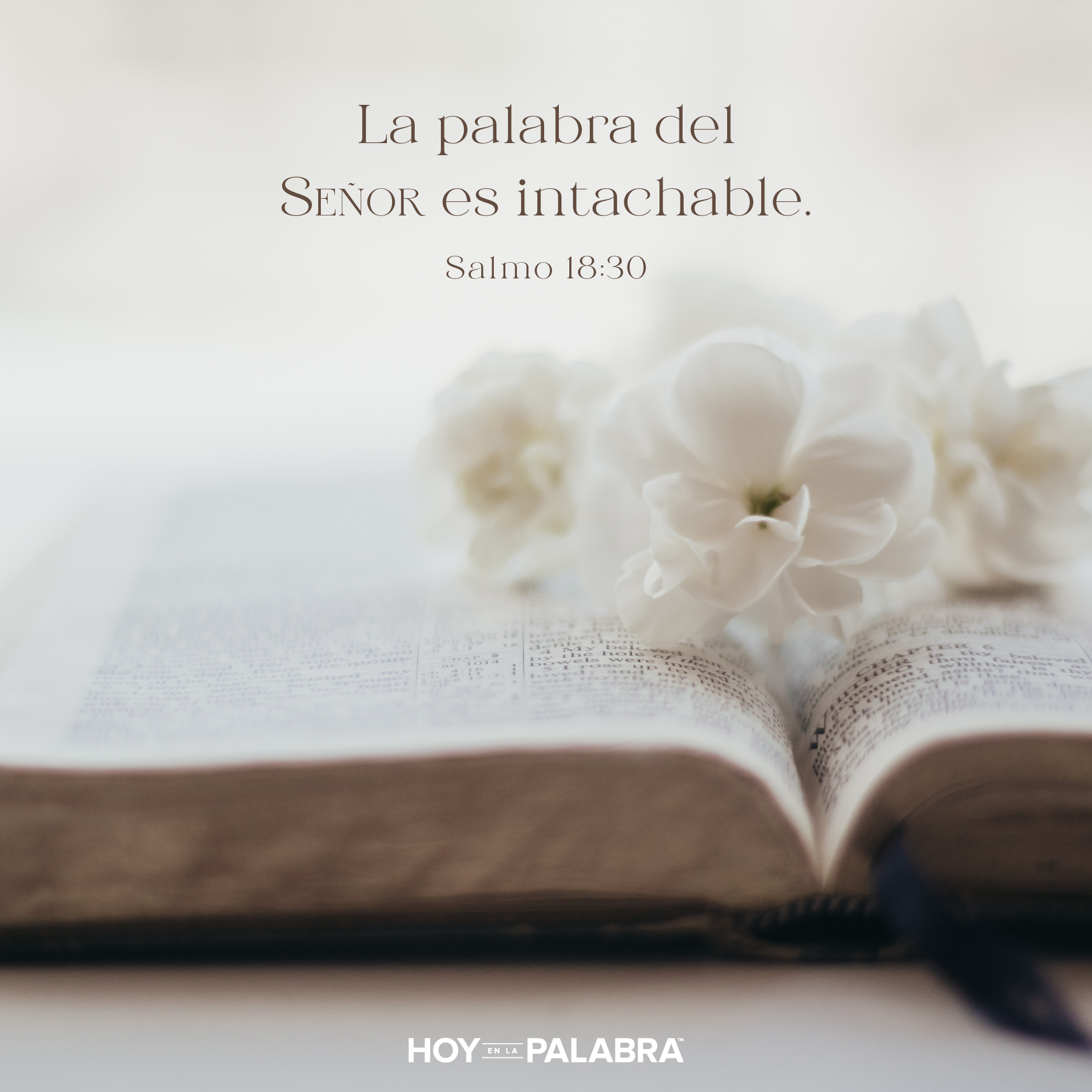 La Palabra de Dios es perfecta