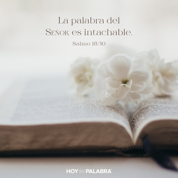 La Palabra de Dios es perfecta