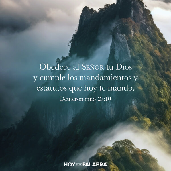 CONSECUENCIAS Y MÁS CONSECUENCIAS