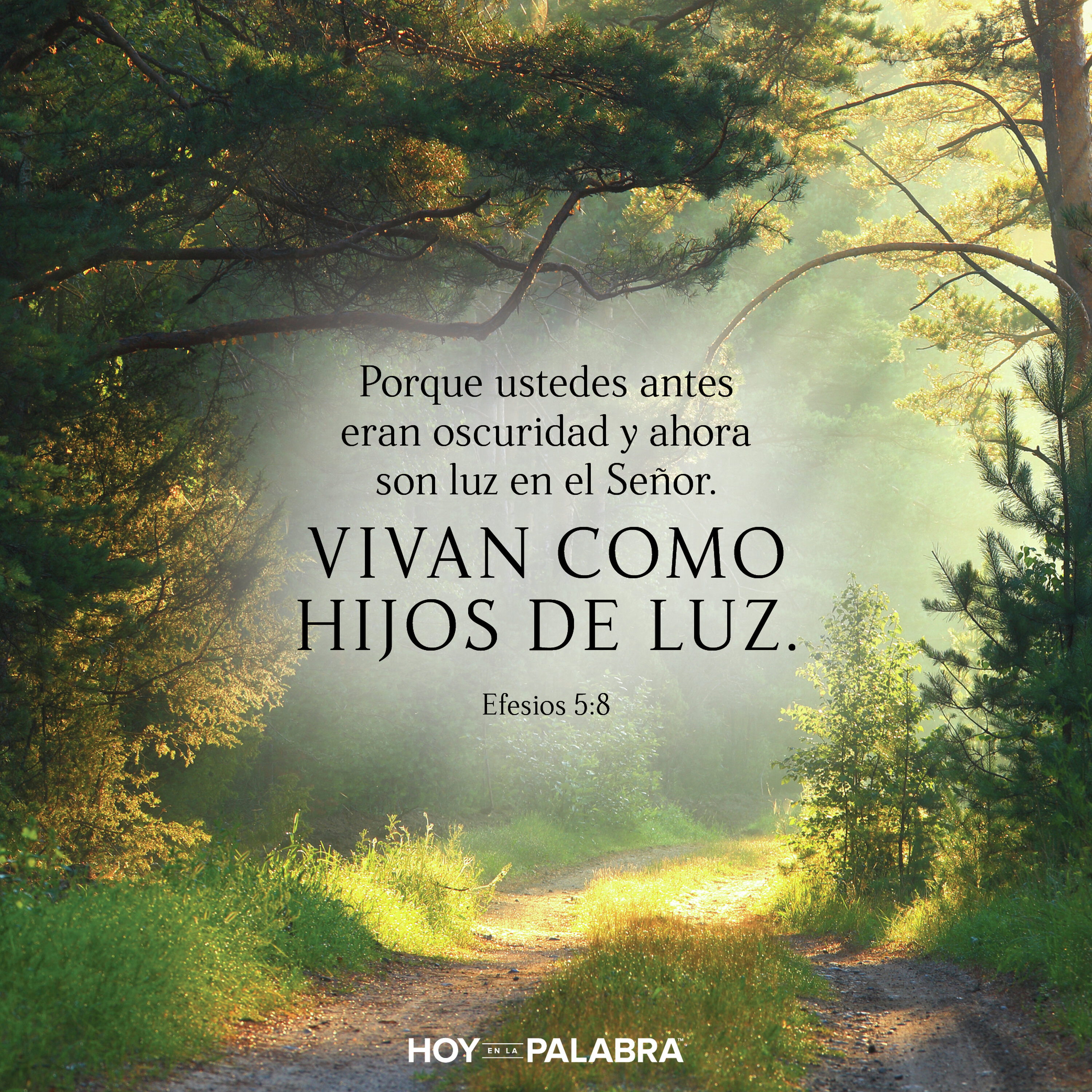CAMINAR EN LA LUZ