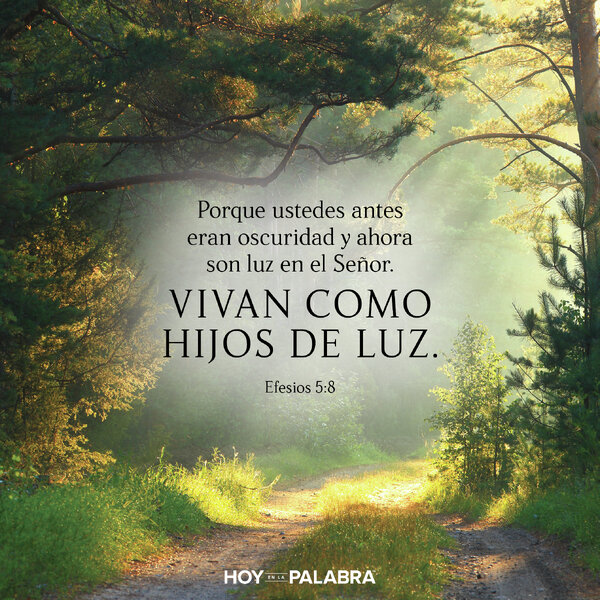 CAMINAR EN LA LUZ
