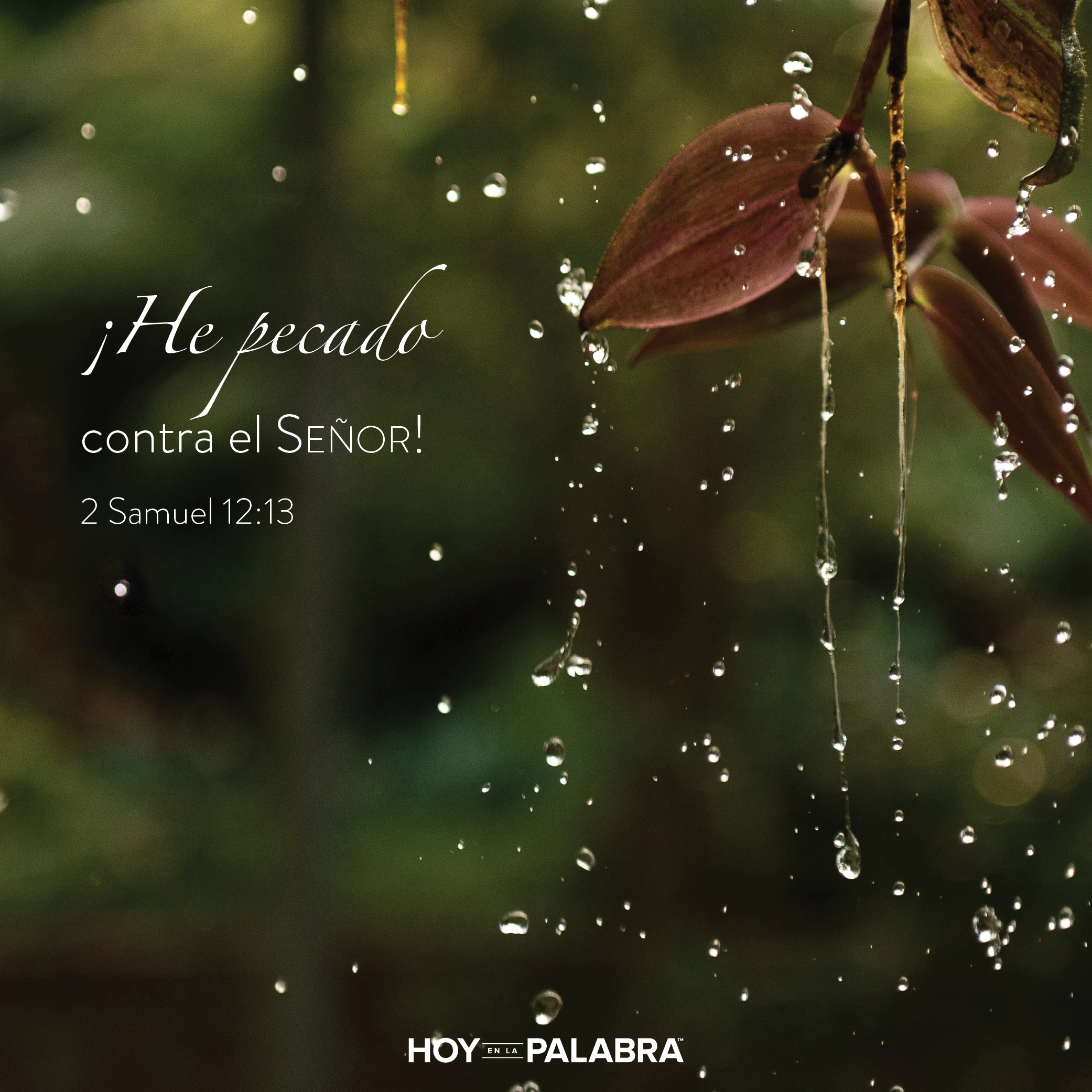 Como aprendió David