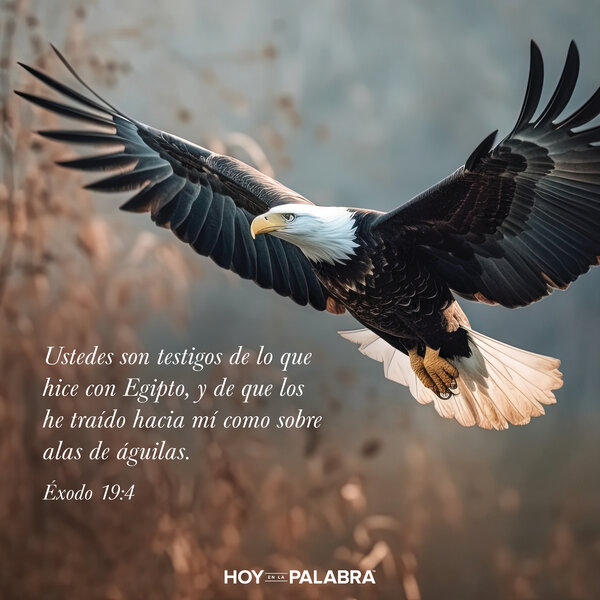 Águila