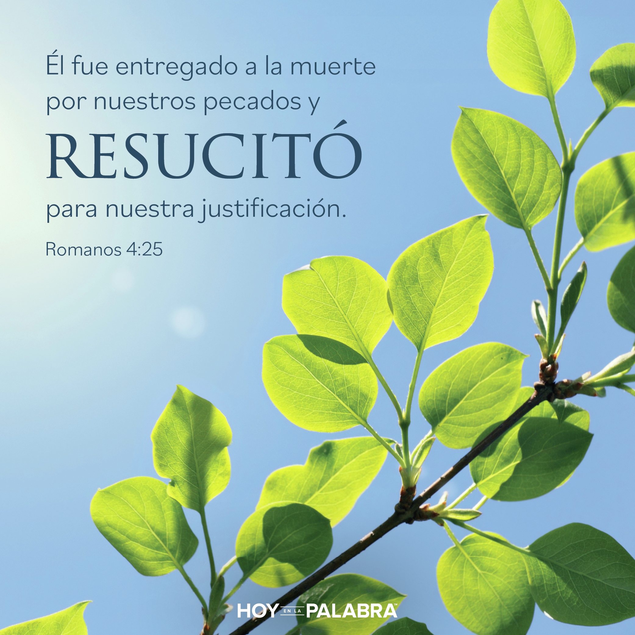 Hoy en la palabra