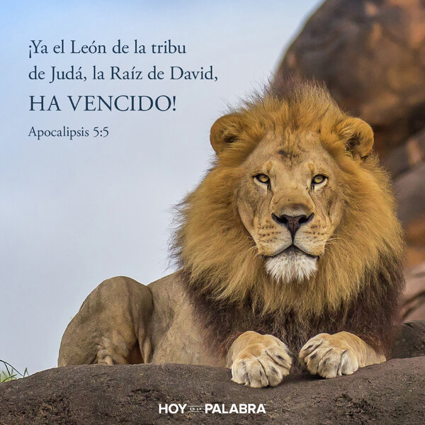 EL VERDADERO REY LEÓN