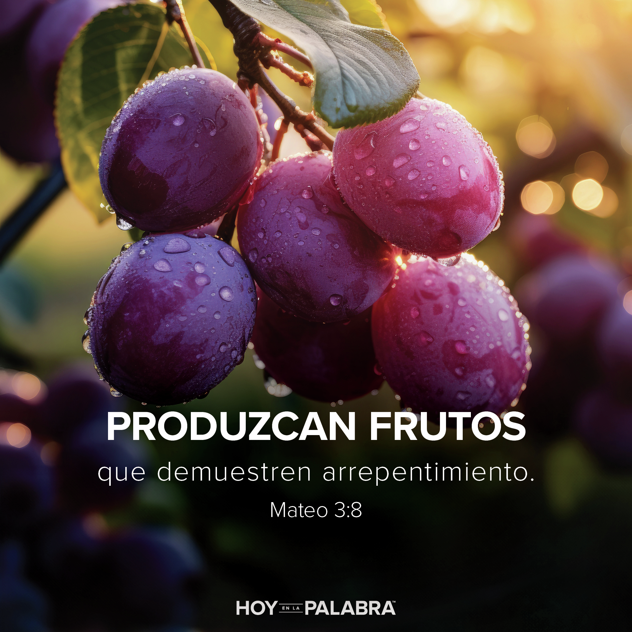 UN ABRIGO DE PIEL DE CAMELLO