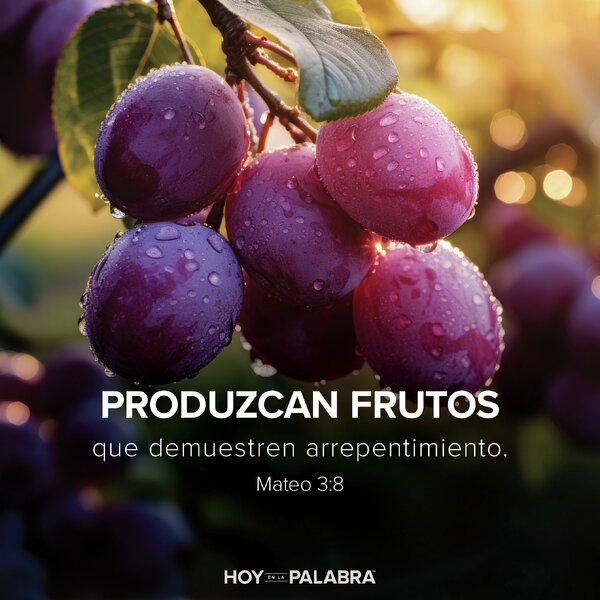 UN ABRIGO DE PIEL DE CAMELLO