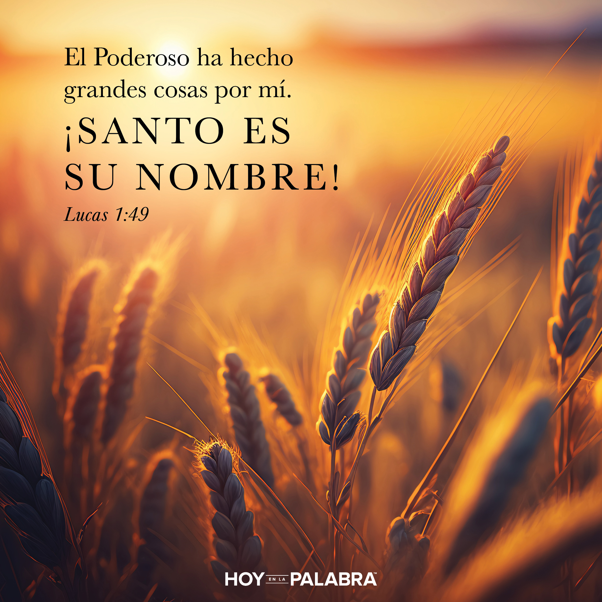 María y Elisabet: Guía necesaria