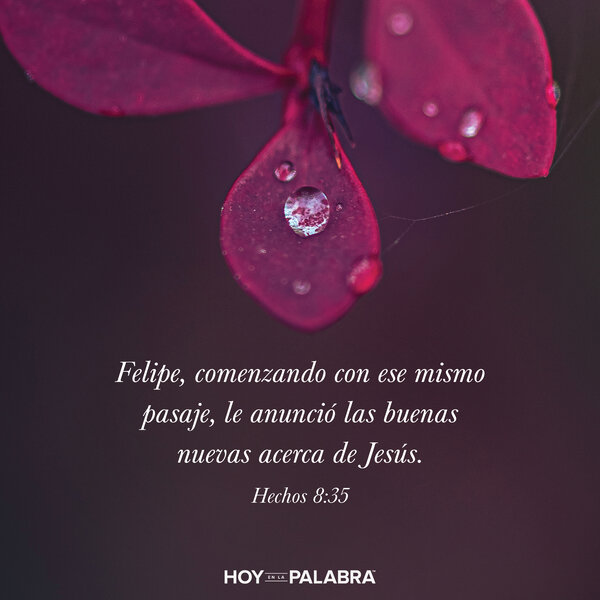 Un llamado a la salvación