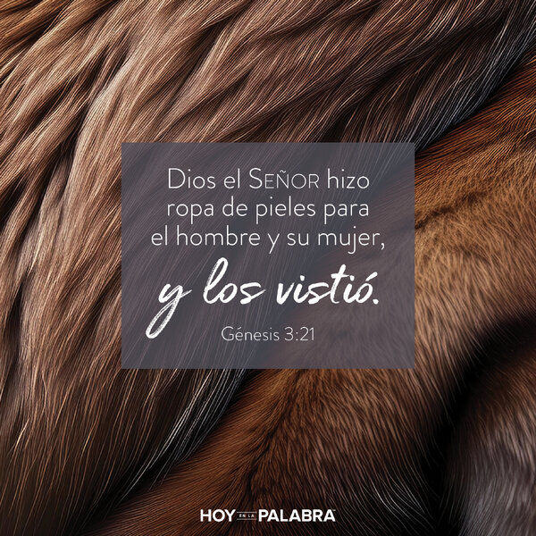 ROPA, VERGUENZA Y MISERICORDIA DIVINA