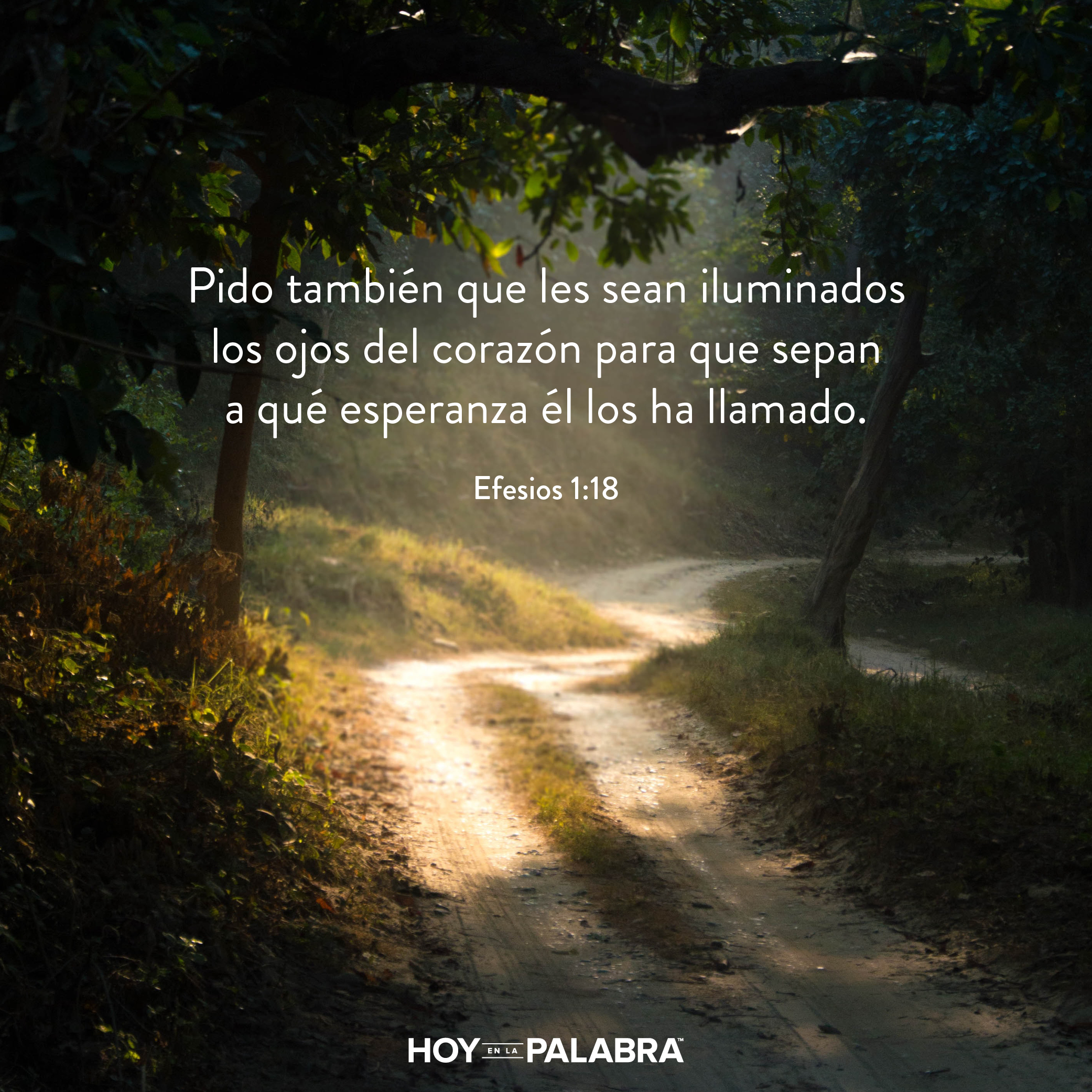 Transformados por Dios