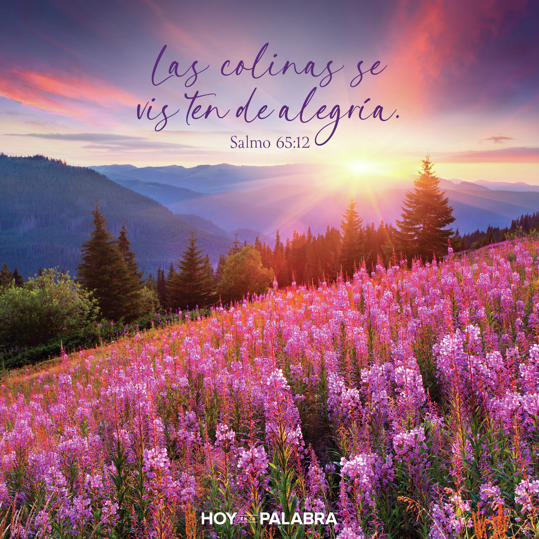 LOS MONTES TAMBIÉN SE VISTEN