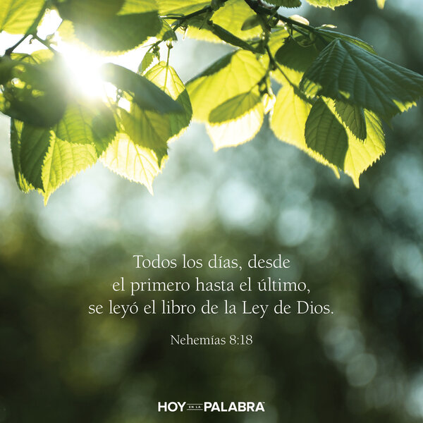 El regreso a la obediencia