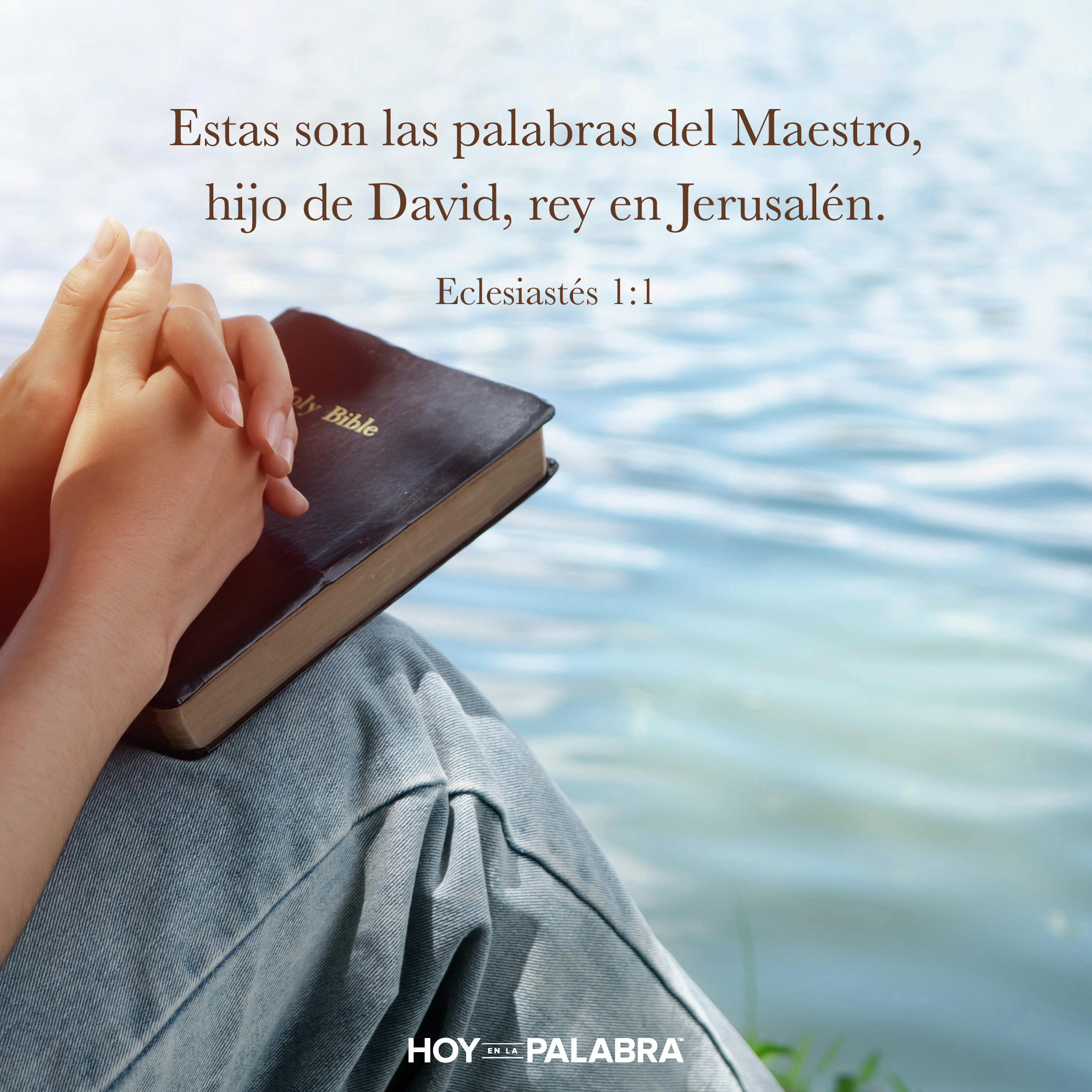 ¿QUIÉN ES EL MAESTRO?