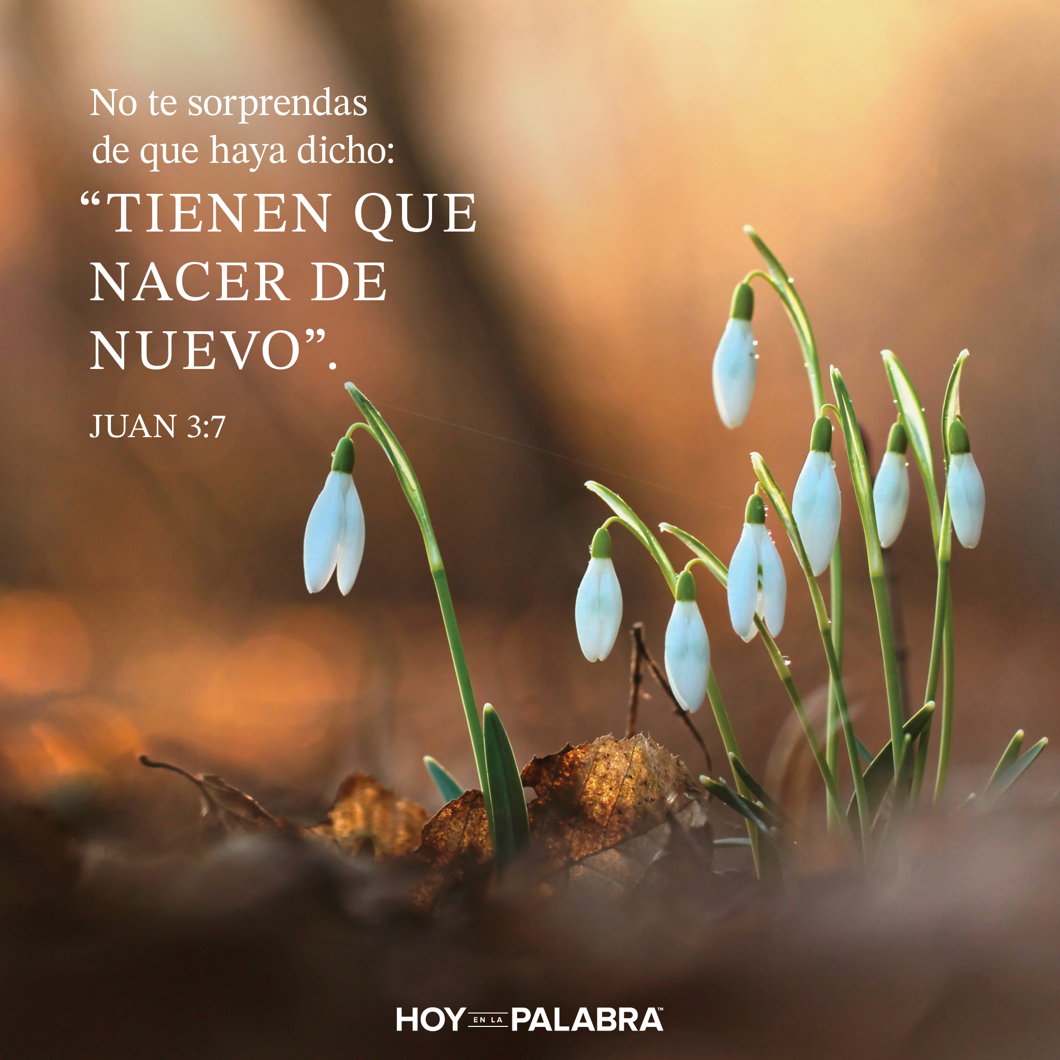 Un misterio para los entendidos