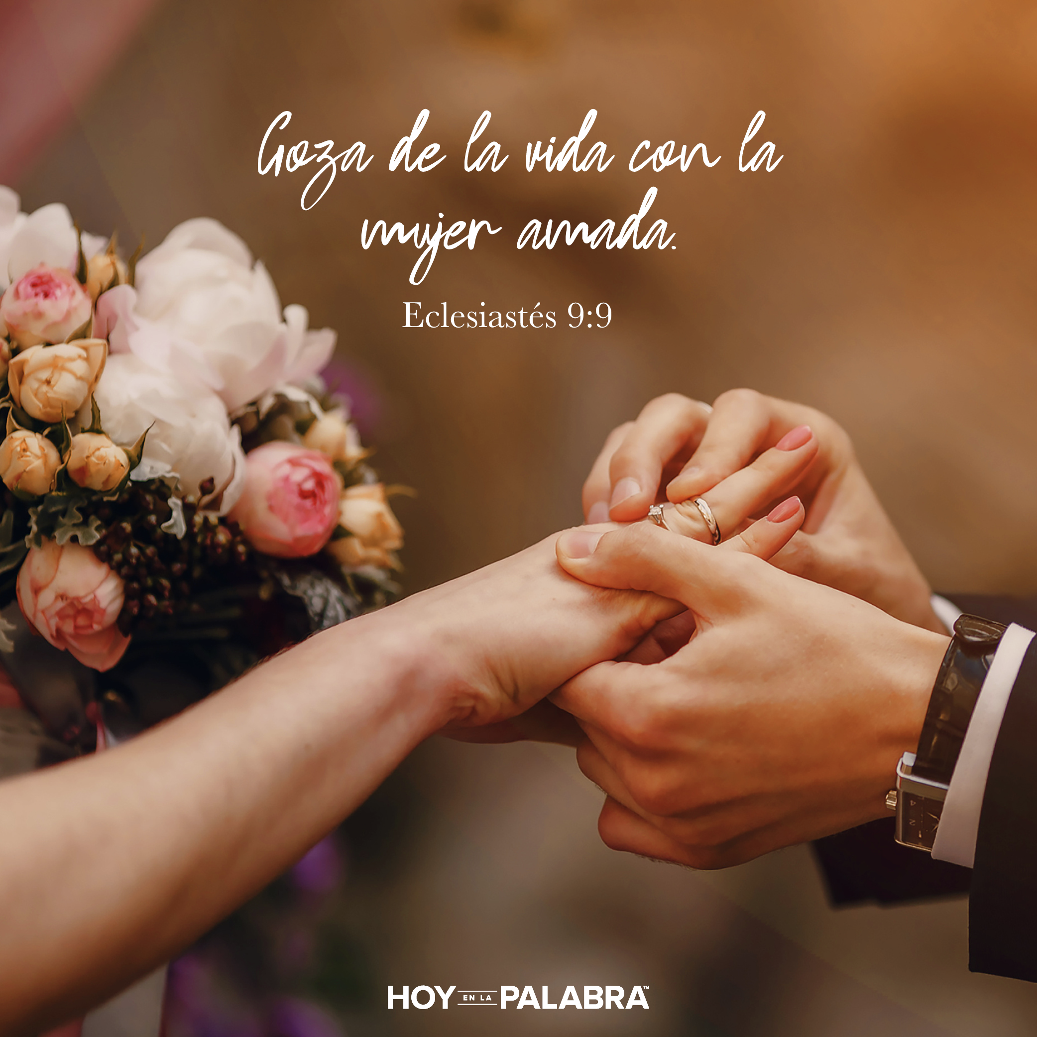 EL MATRIMONIO ES UN REGALO