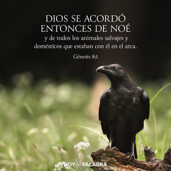 EL CUERVO Y LA PALOMA