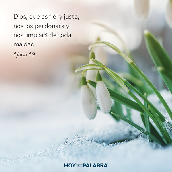 La maravilla del perdón