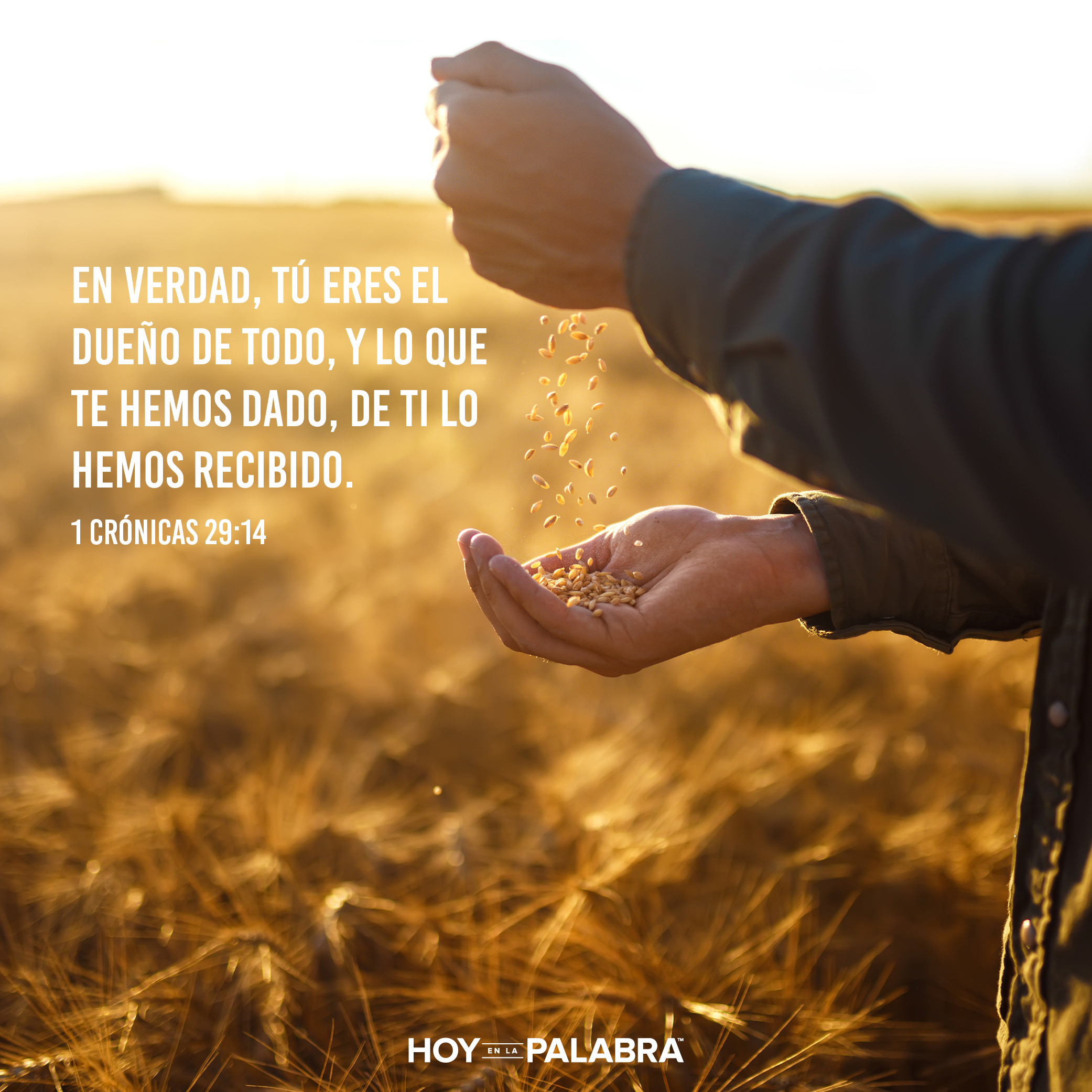 La oración de David (2)