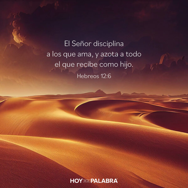 ¡Nos lo quitó todo!