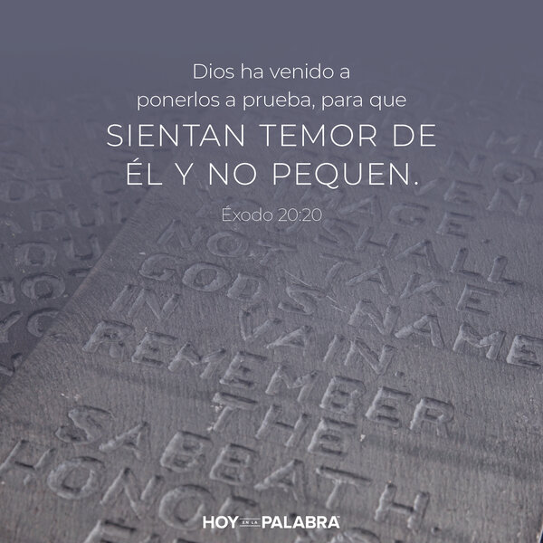 LOS DIEZ MANDAMIENTOS