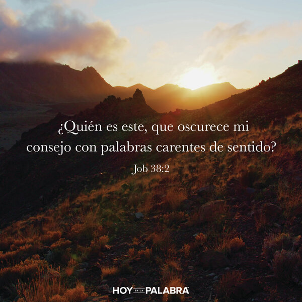 ¿CÓMO FUNCIONA LA CREACIÓN?