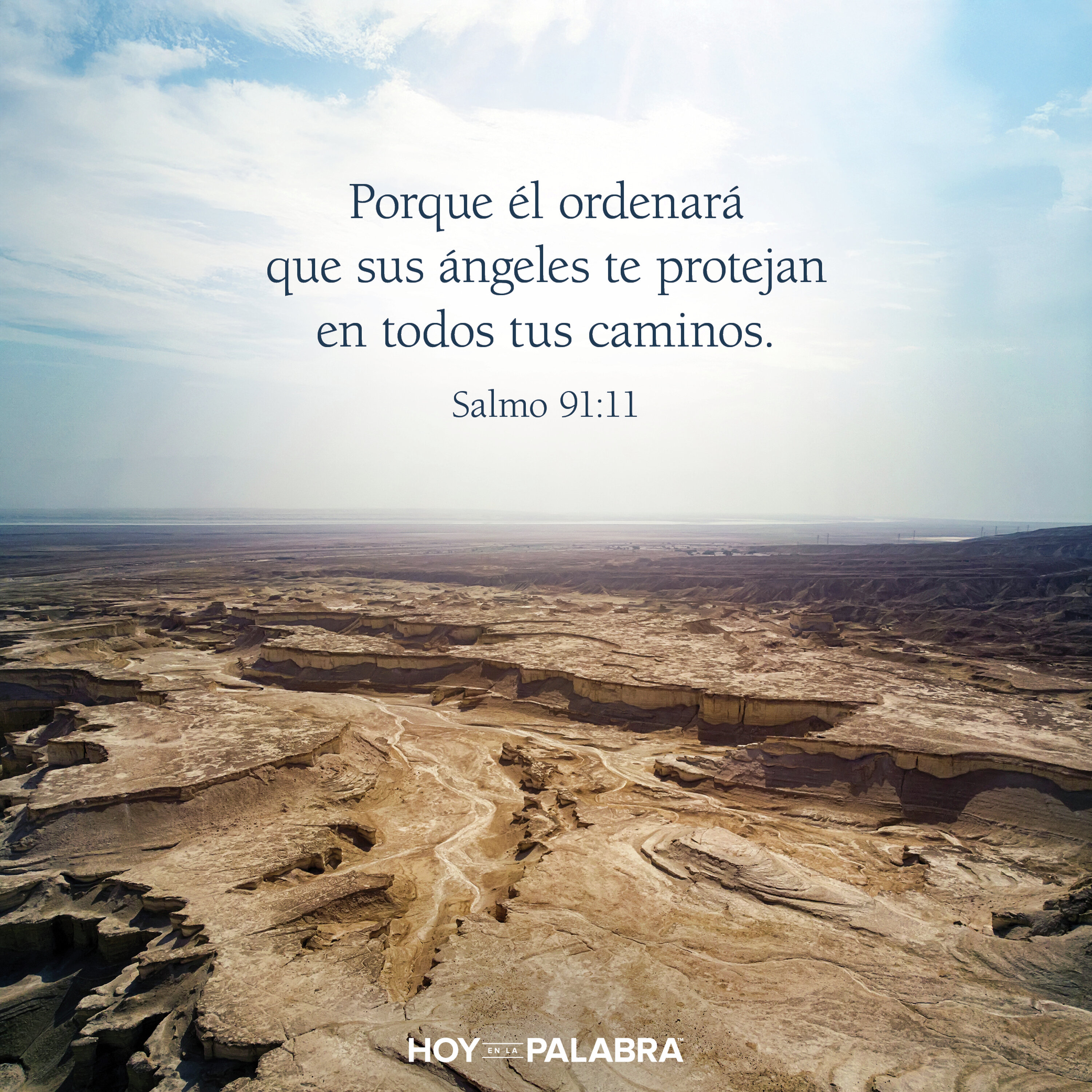 ANIMALES SALVAJES