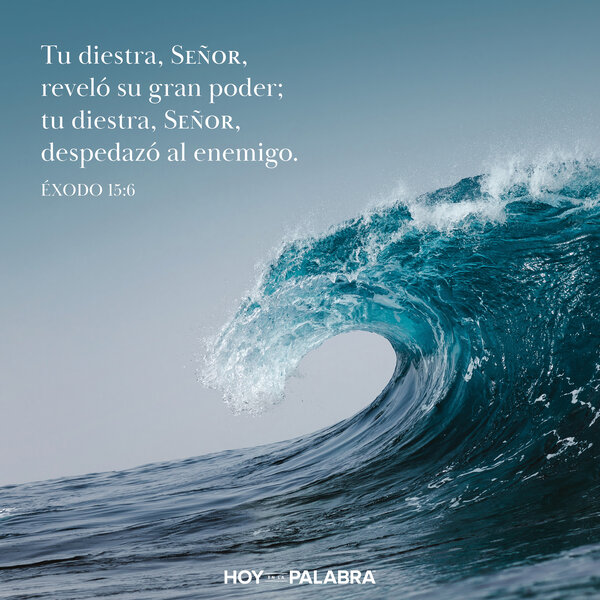 Canto de liberación