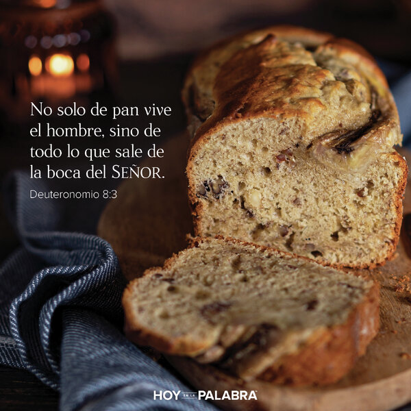 LA PRUEBA DEL ÉXITO