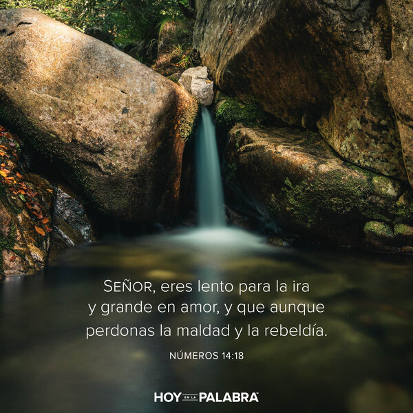 Una dura reprensión