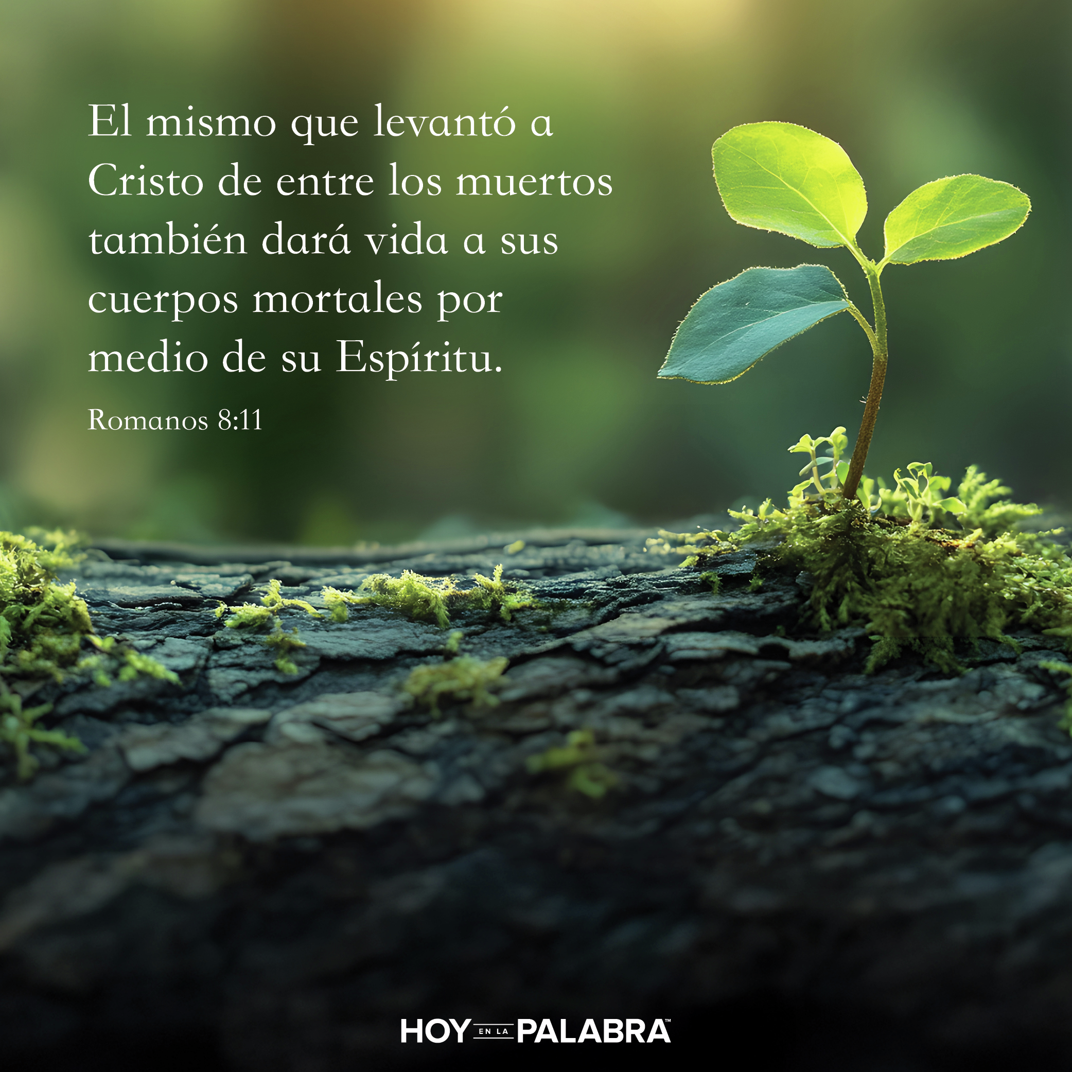 LEVANTADOS POR EL ESPÍRITU