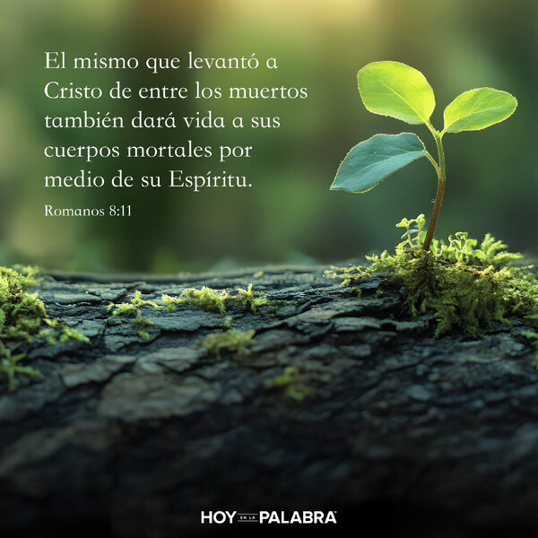 LEVANTADOS POR EL ESPÍRITU