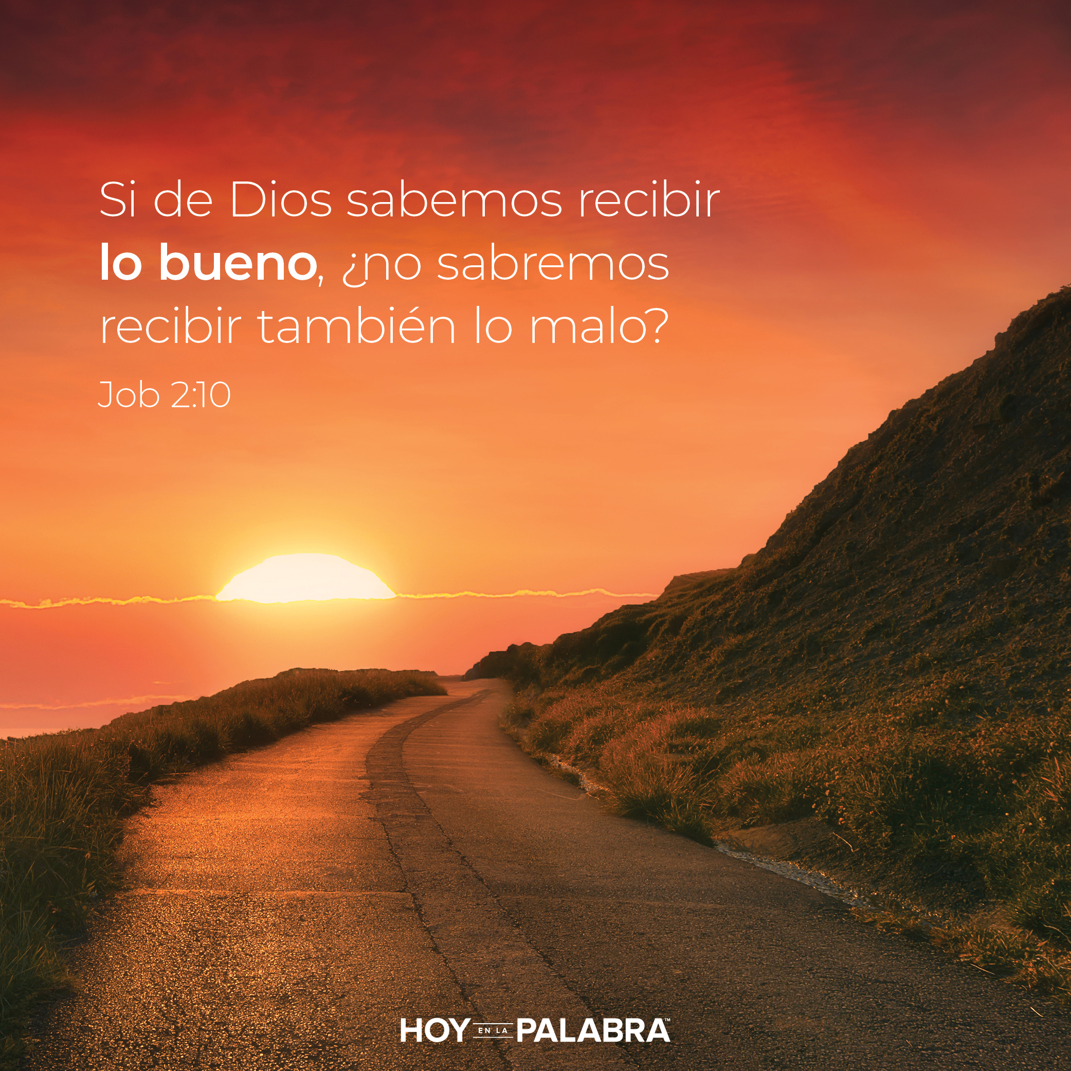 La esposa de Job: El camino del dolor