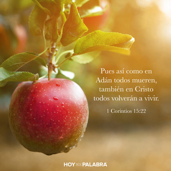 El evangelio de la resurrección