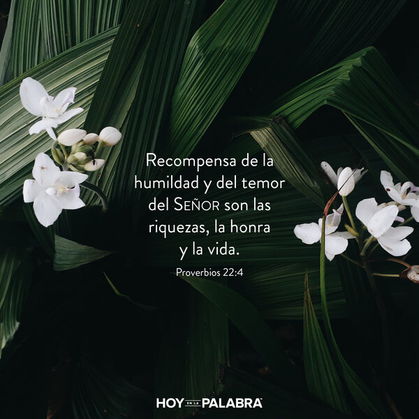 Conocimiento y humildad