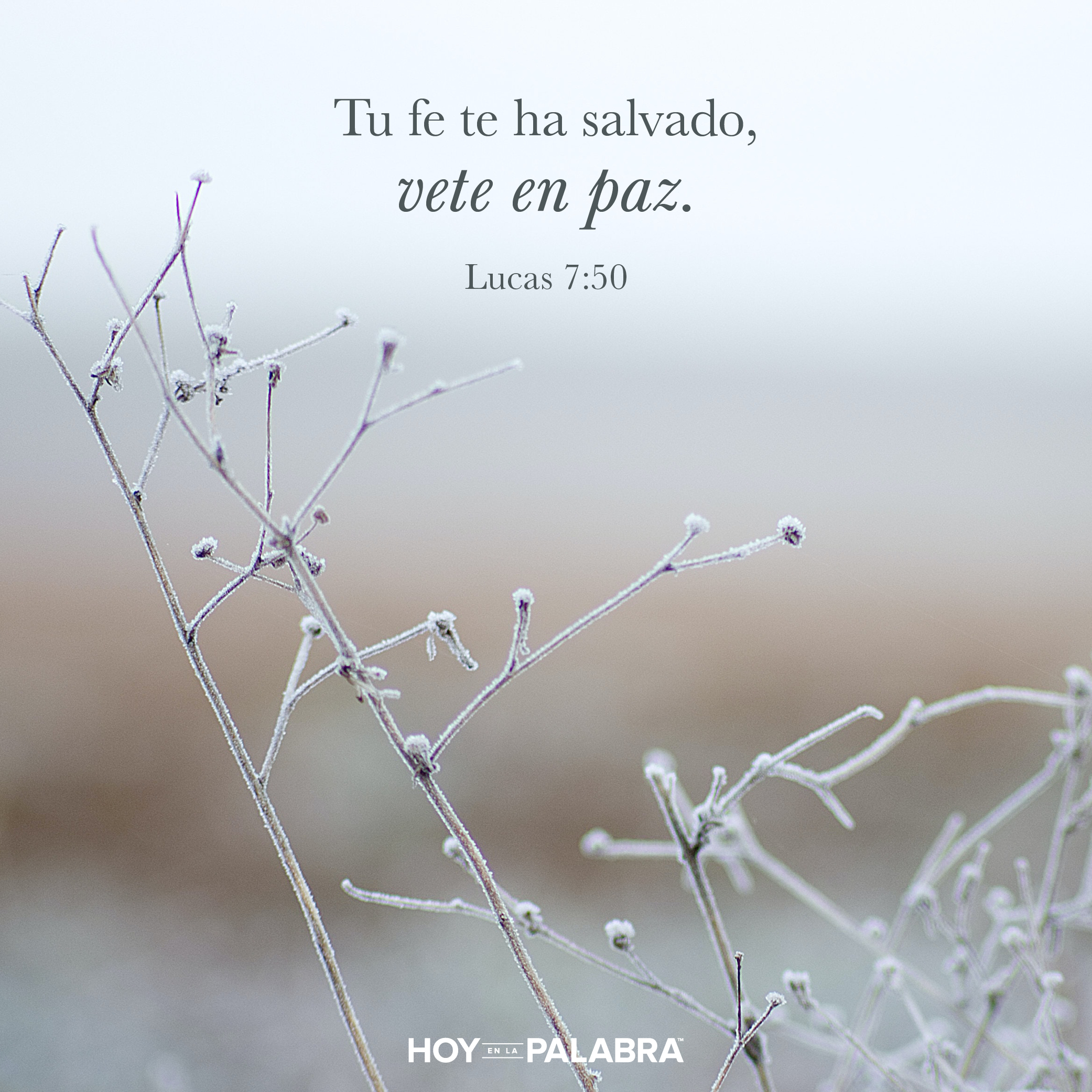 ¡Vales mucho!