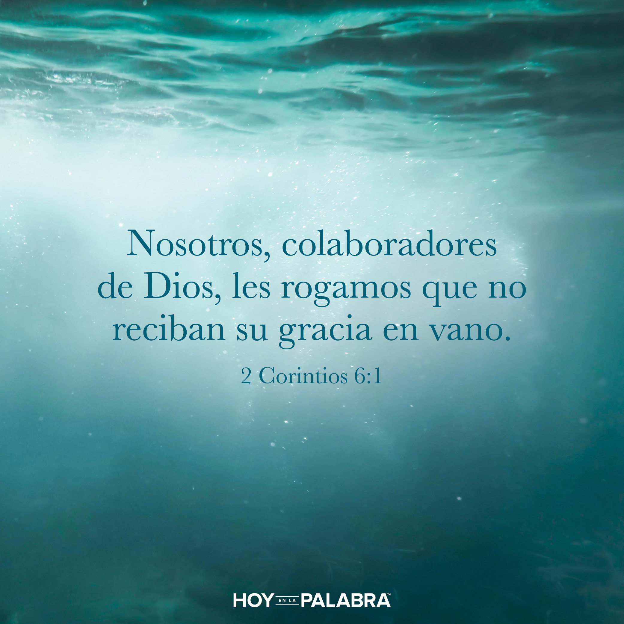 Colaboradores de Dios