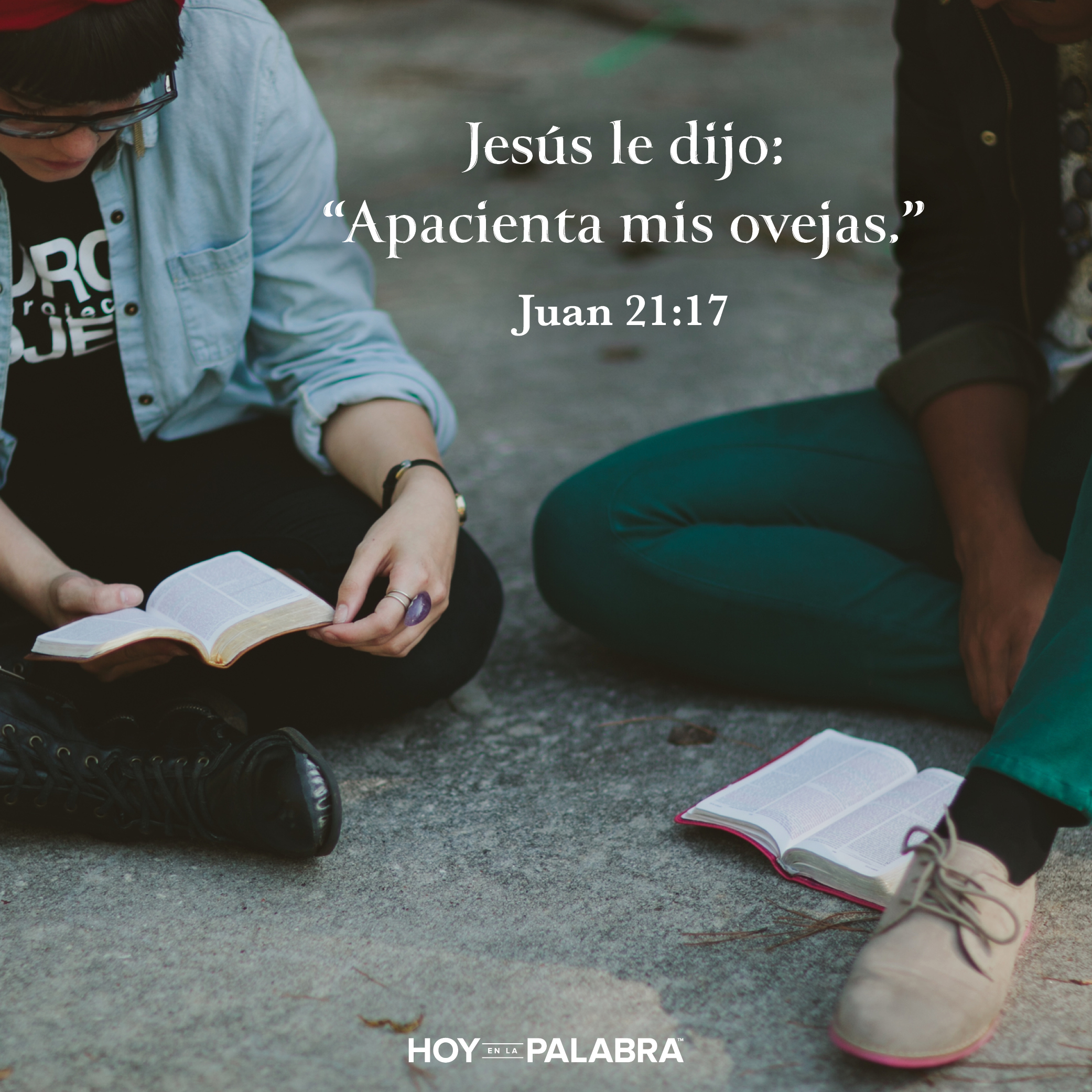 Apacienta mis ovejas