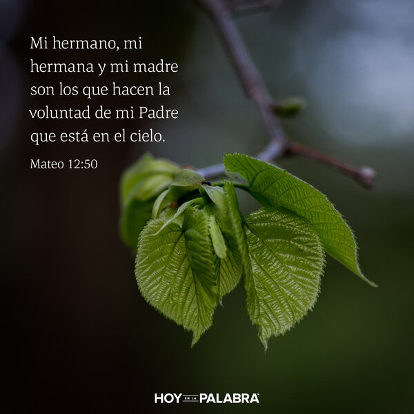 María: Madres e hijos