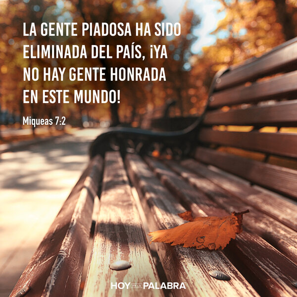 Tiempos de desánimo