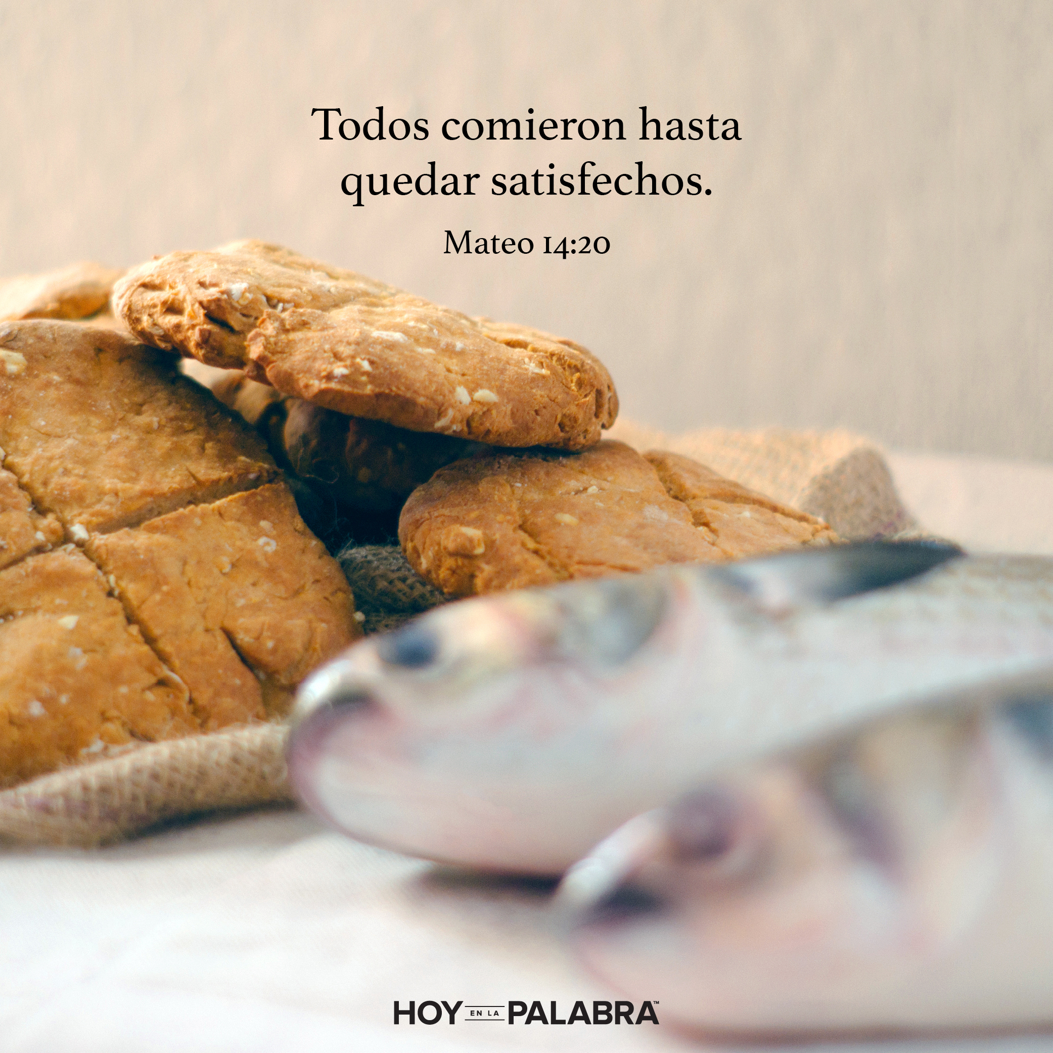 Los 5,000: Satisfechos