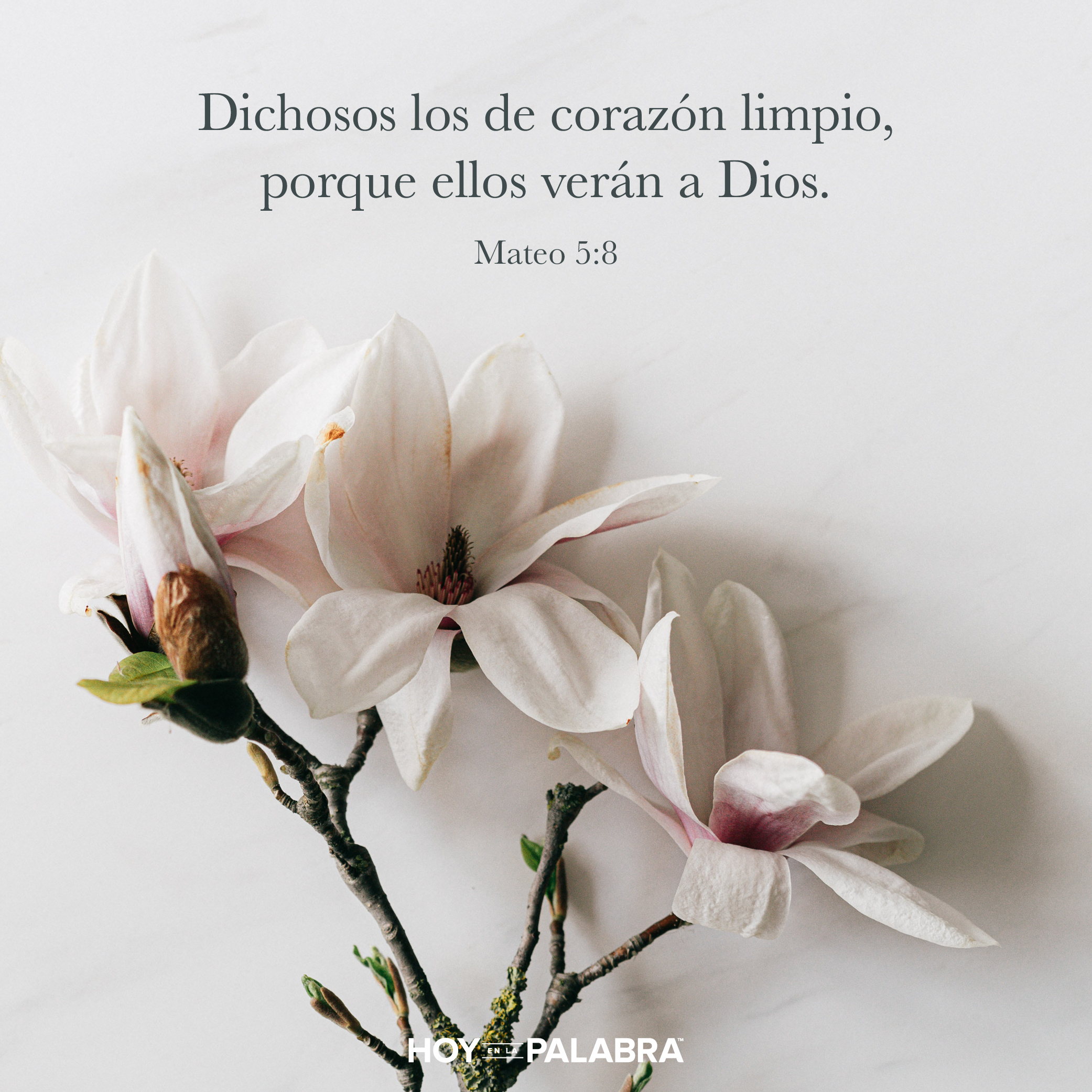 Una visión de Dios