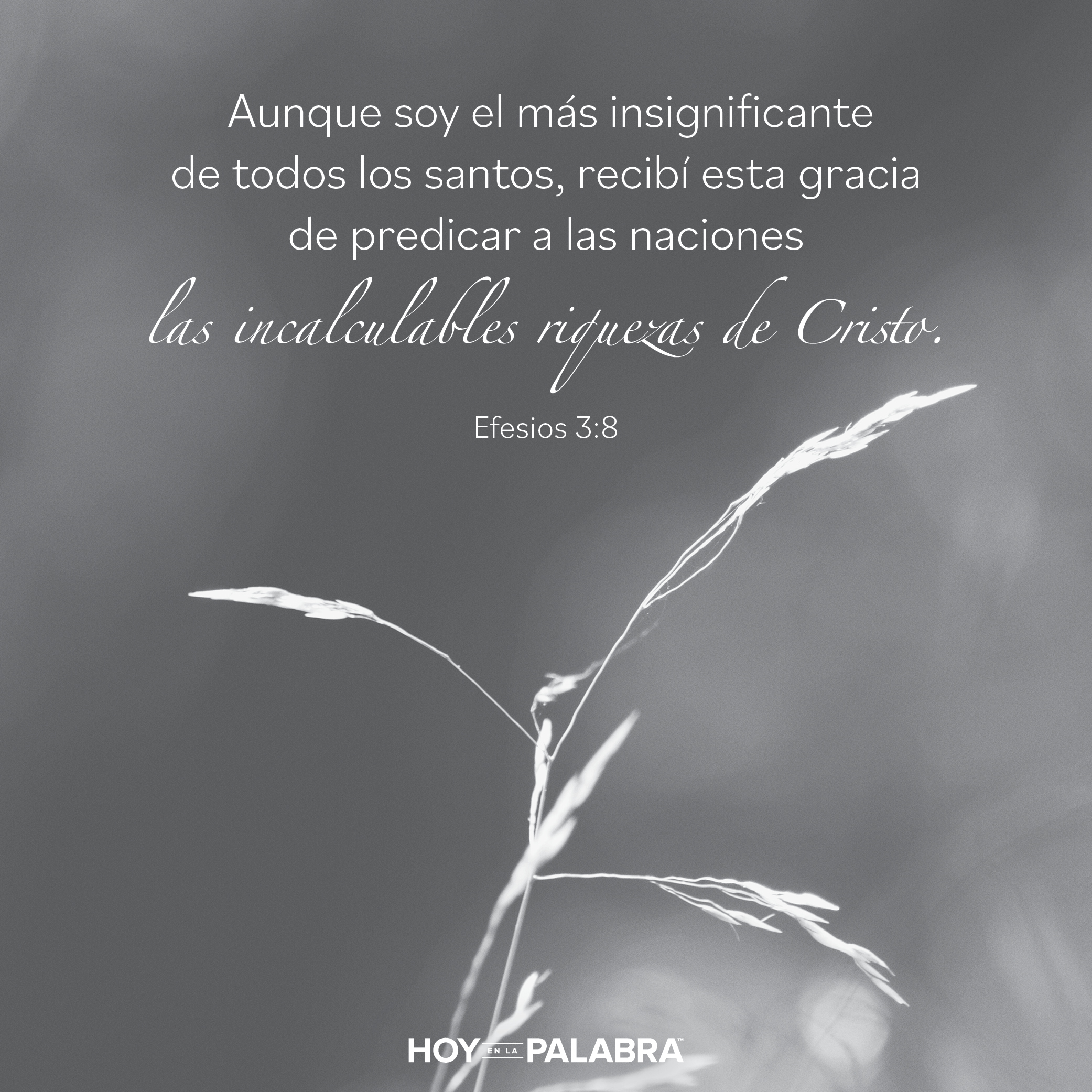 La reina de Sabá: Riquezas ilimitadas