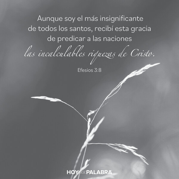 La reina de Sabá: Riquezas ilimitadas