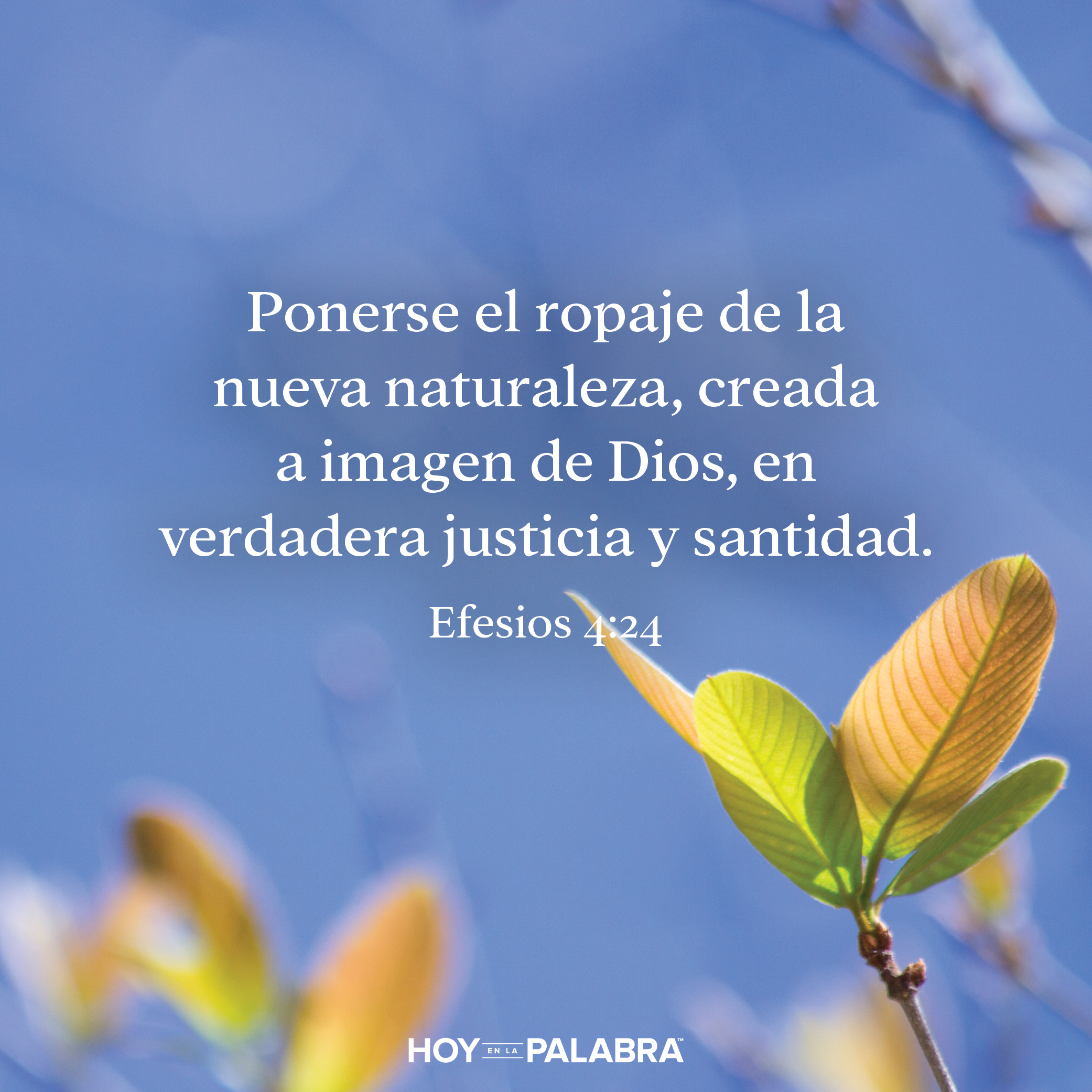 Nuevo estilo de vida